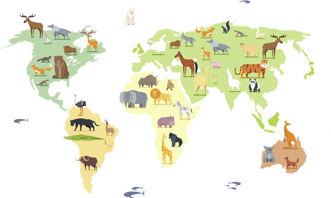 Tapis vinyle chambre animaux colorés des continents - TenStickers
