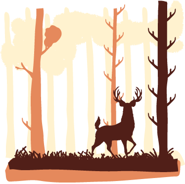 Tapis vinyle chambre forêt et cerfs - TenStickers