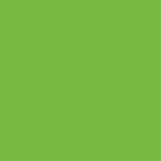 Tapis vinyle chambre vert pour armoire - TenStickers