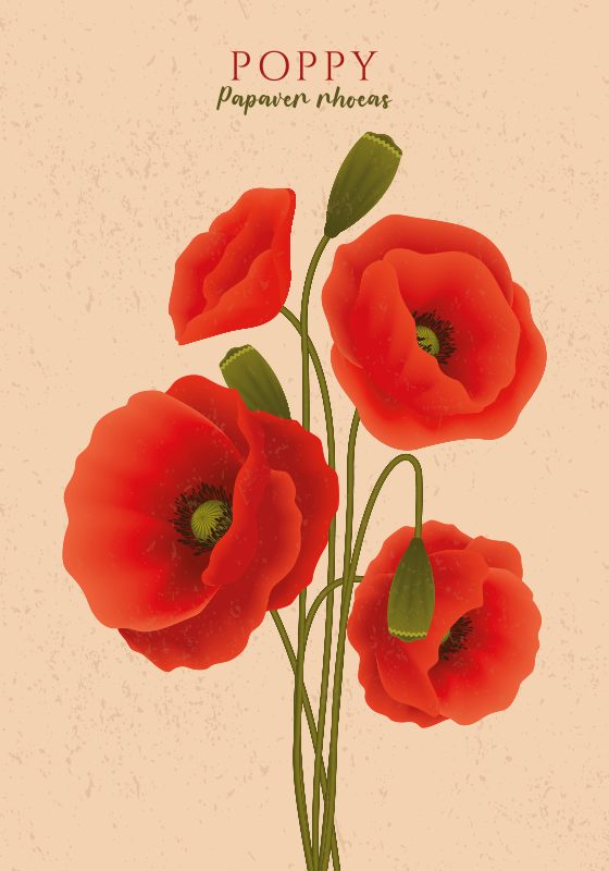 Tapis vinyle fleurs et plantes coquelicots - TenStickers