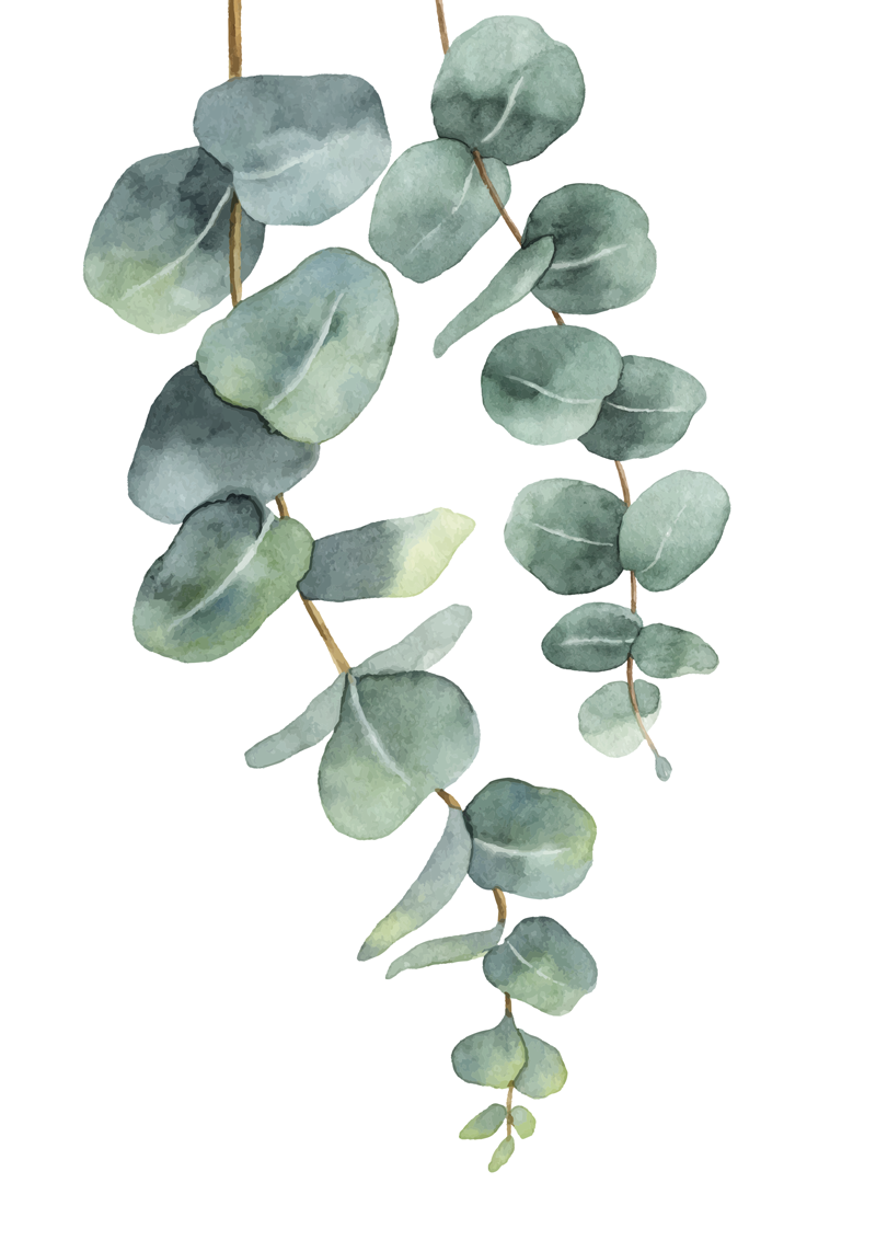Tapis vinyle fleurs et plantes branches d'eucalyptus - TenStickers