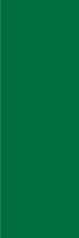 Tapis vinyle vert émeraude pour décoration intérieure - TenStickers