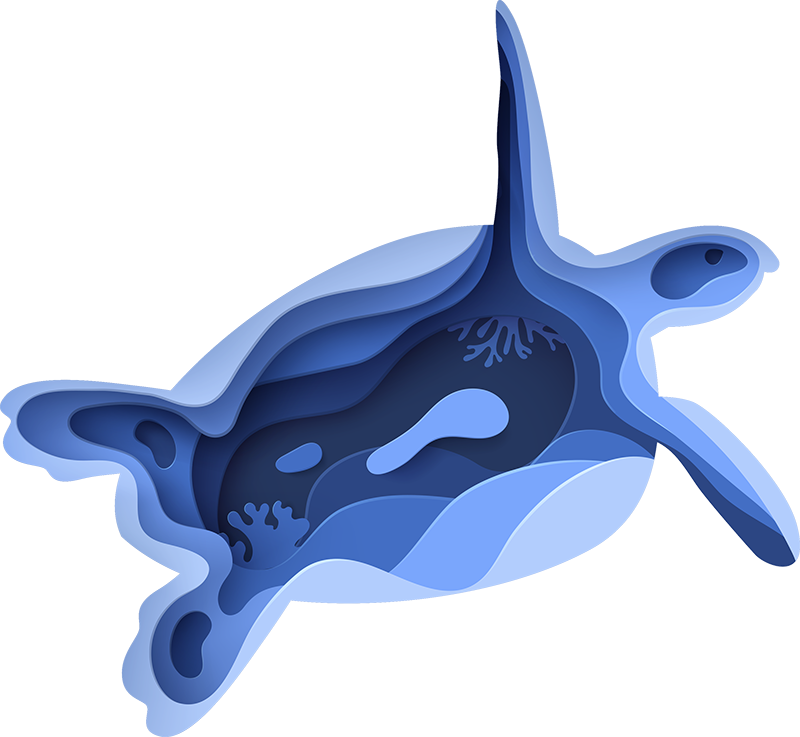 tapis vinyle animal tortue de mer - TenStickers