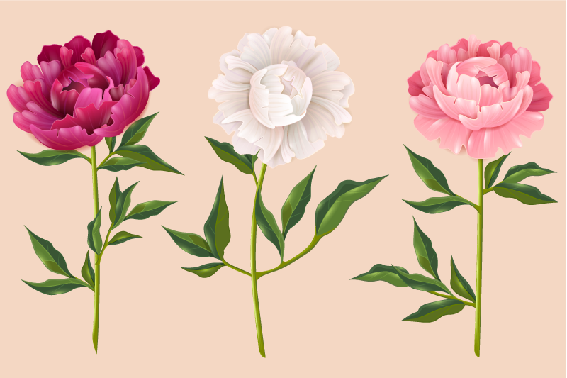 Tapis vinyle salle de bain arrangement élégant en trio - TenStickers