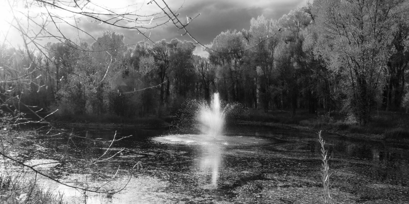 tapis vinyle salon Forêt grise - TenStickers