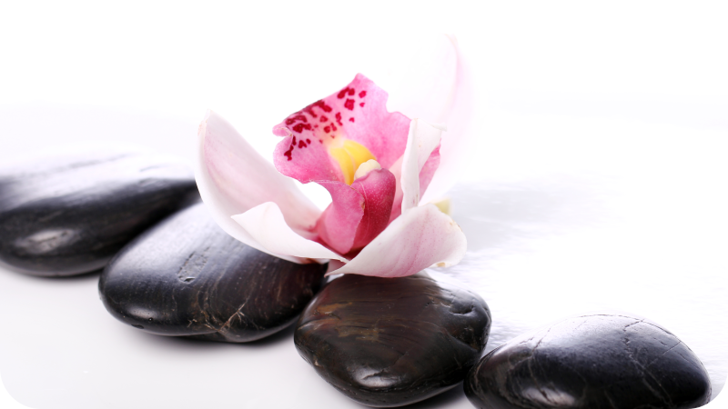 tapis vinyle cuisine Orchidée avec des pierres - TenStickers