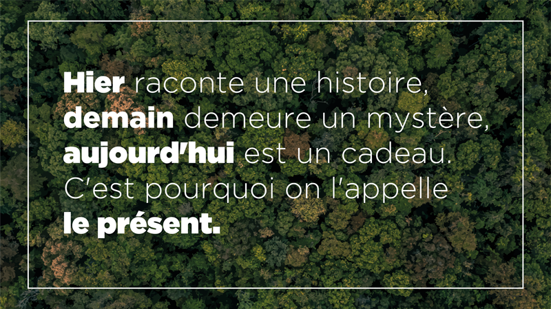 tapis vinyle cuisine Conception de la forêt - TenStickers