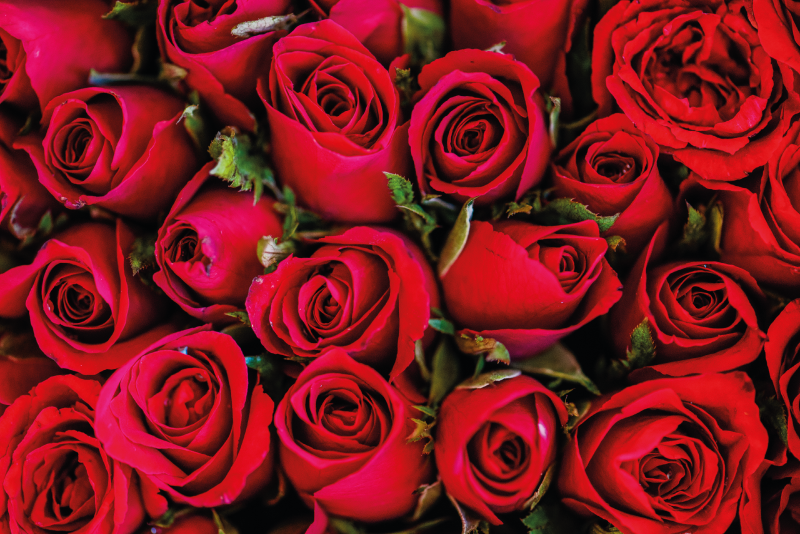 Tapis vinyle fleurs et plantes bouquet de roses - TenStickers