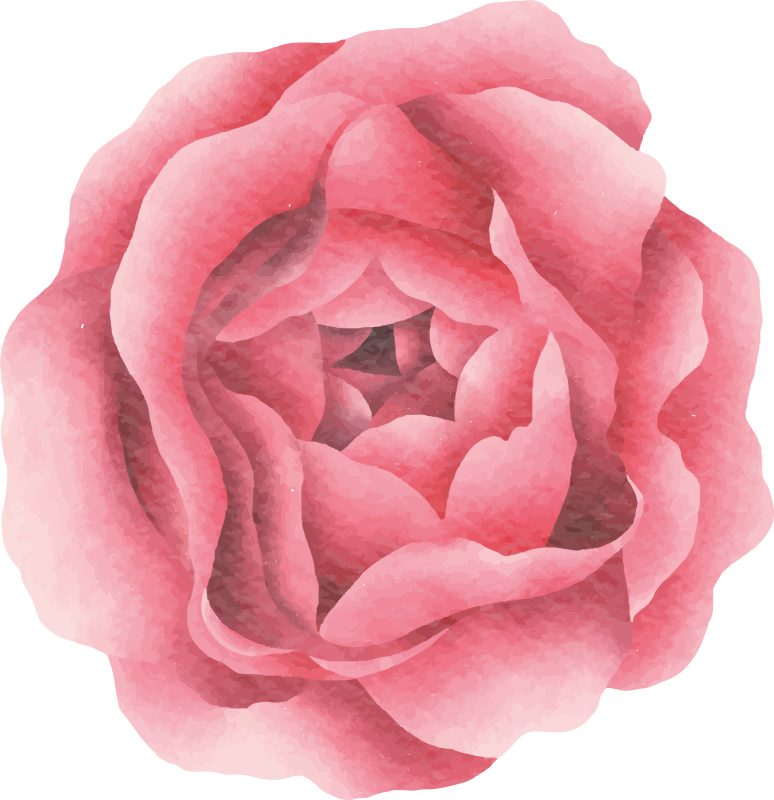 Tapis vinyle fleurs et plantes fleur rose blush - TenStickers