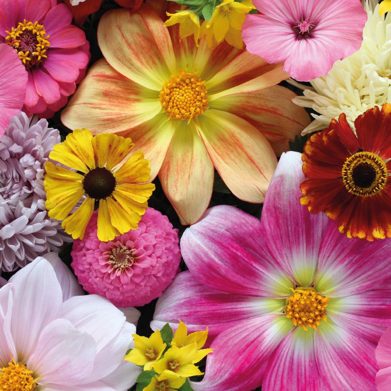 Tapis vinyle fleurs et plantes bel arrangement réaliste - TenStickers