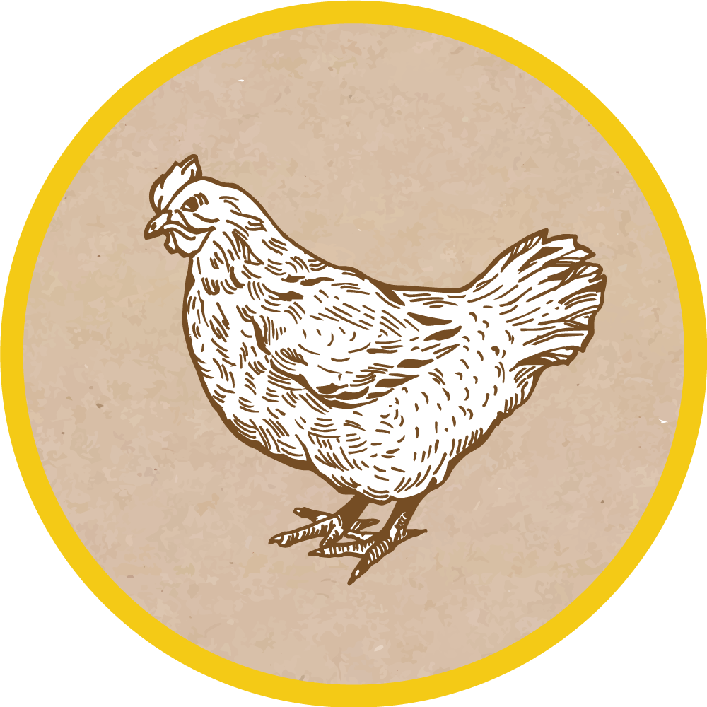 Tapis vinyle animal illustration de poulet - TenStickers
