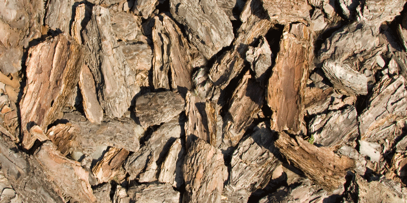 Tapis vinyle imitation parquet conception d'écorce naturelle - TenStickers