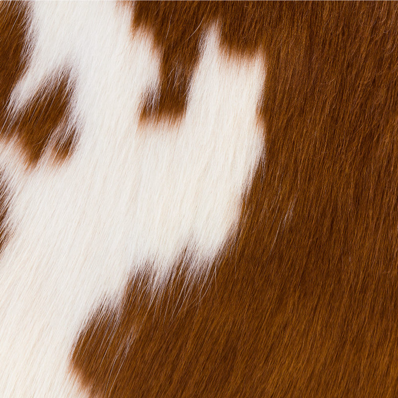 Tapis carré en vinyle marron et blanc avec texture de fourrure d - TenStickers