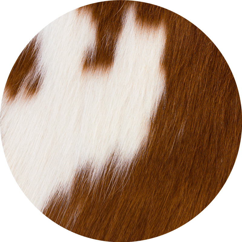 Tapis vinyle rond Texture de fourrure de vache blanche brune - TenStickers