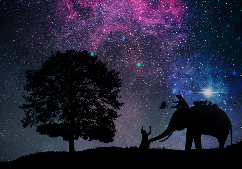 Tapis vinyle animal aventure cosmique de l'éléphant - TenStickers