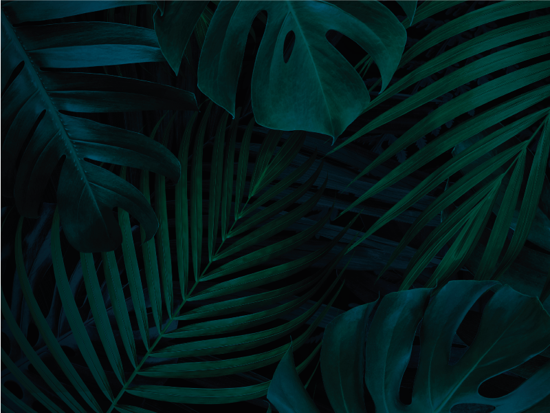 Tapis vinyle fleurs et plantes feuillage tropical sombre - TenStickers