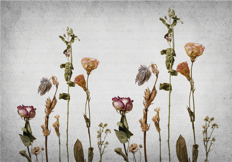 Tapis vinyle fleurs et plantes imagerie botanique - TenStickers