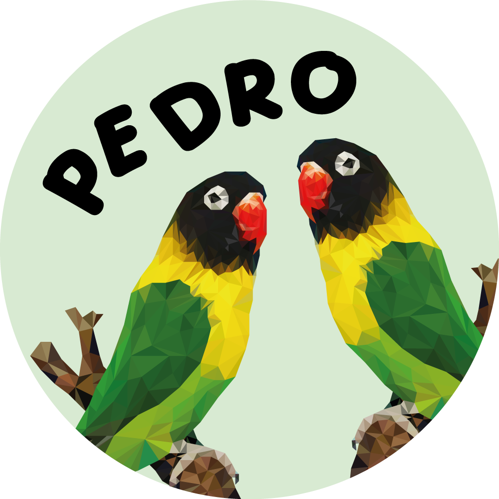 Tapis vinyle avec nom Paire d'oiseaux géométriques-animaux - TenStickers