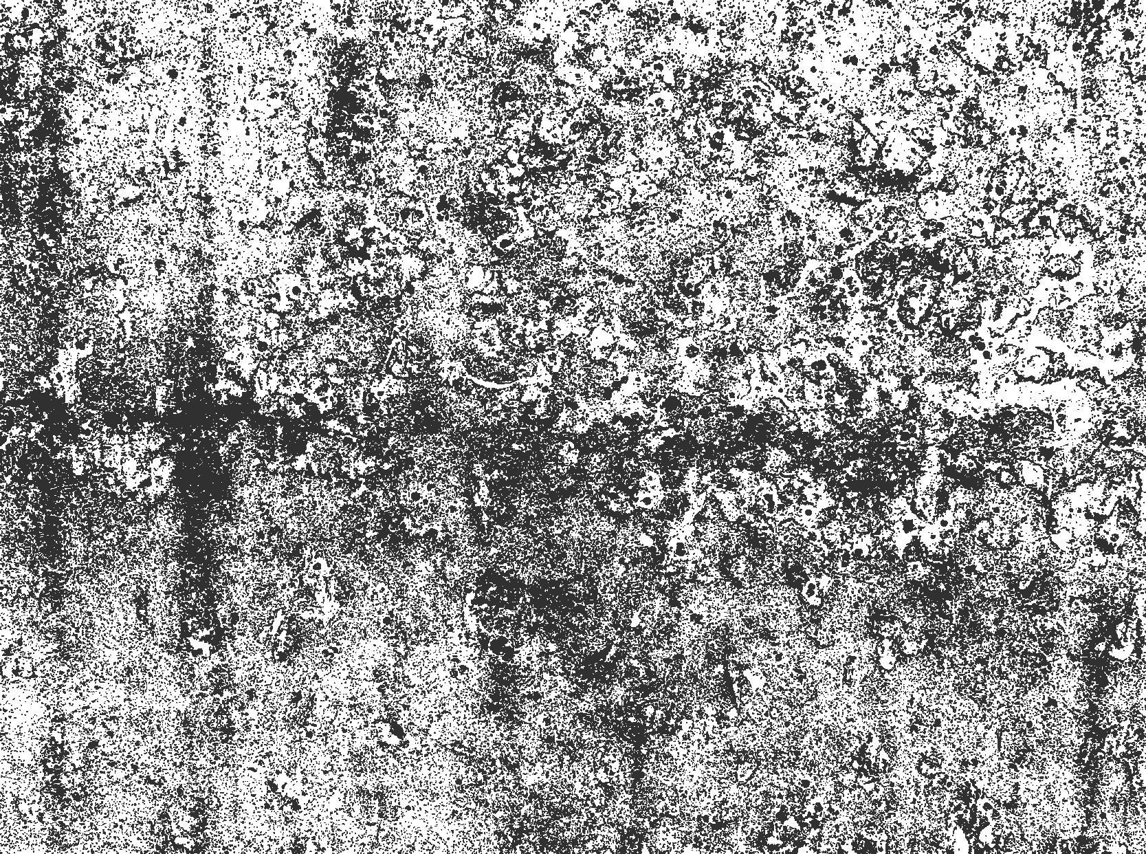 Tapis vinyle salle à manger gris délavé - TenStickers