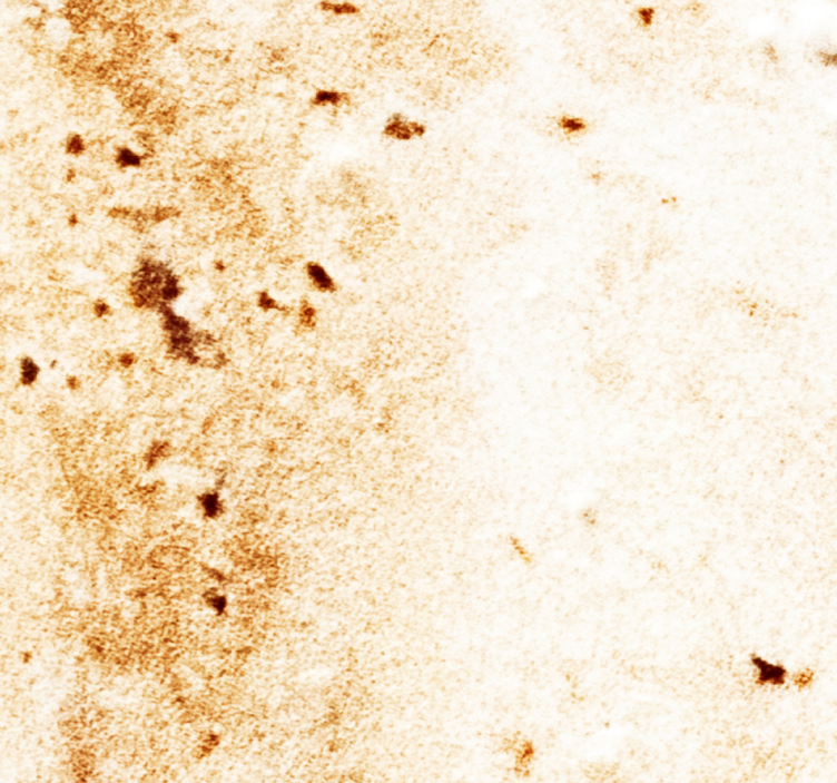 Papier peint marbre esthétique de la pierre naturelle - TenStickers