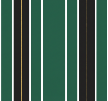 Papier peint ligne verticale motif rayé vert et noir - TenStickers