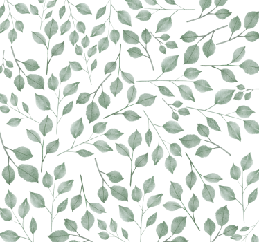 Papier peint chambre Branches d'olivier - TenStickers